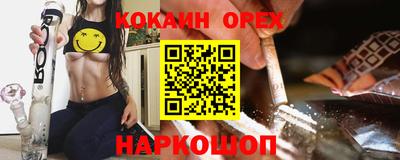 индика Камышлов