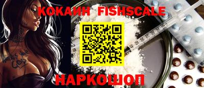 индика Камышлов