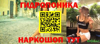 индика Камышлов