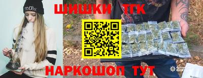 индика Камышлов