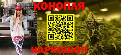 индика Камышлов