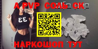 индика Камышлов