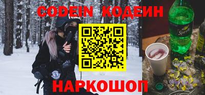 индика Камышлов