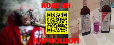 индика Камышлов