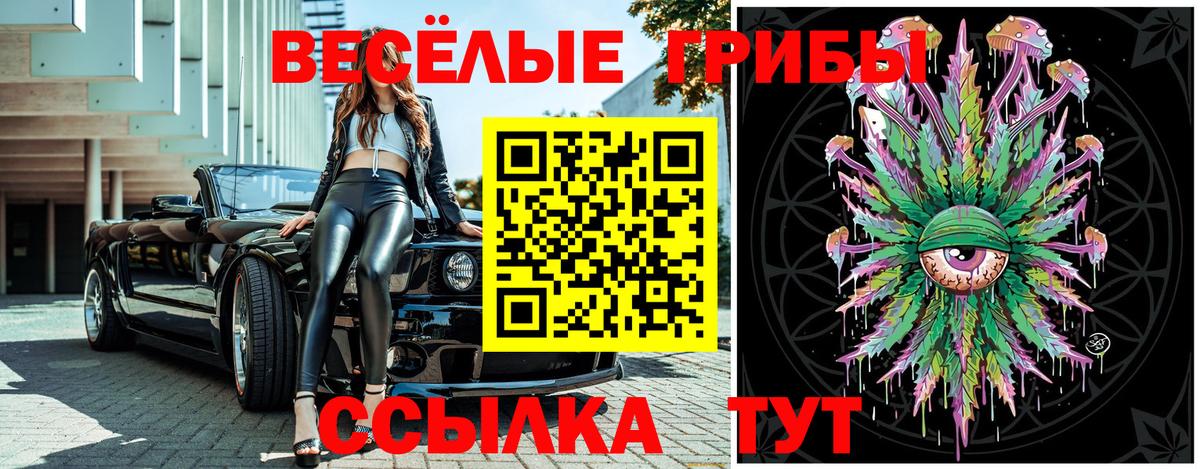 Галлюциногенные грибы мицелий Благовещенск