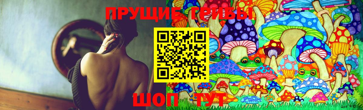 Благовещенск  Псилоцибиновые грибы Psilocybe  Вход с VPN 